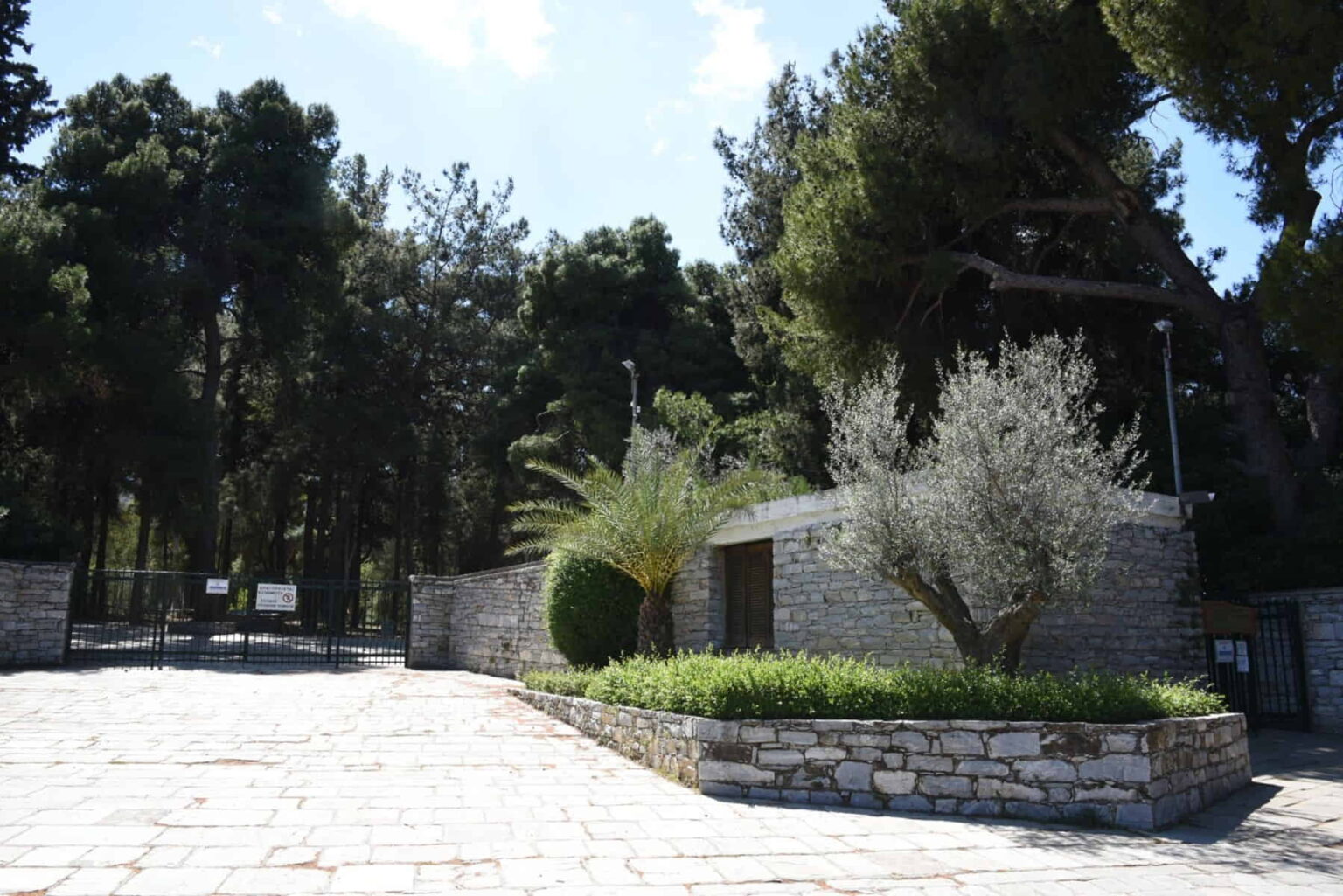 ΑΝΘΩΝΑΣ ΕΛΕΥΘΕΡΗ ΠΕΡΙΗΓΗΣΗ (Βοτανικός Κήπος Διομήδους)